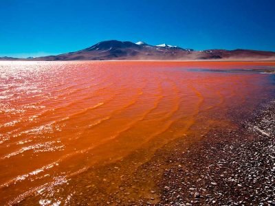 Laguna Colorada Bolivia