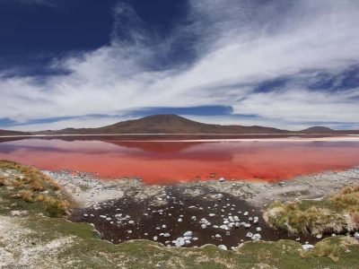 ¿Cómo llegar a la Laguna Colorada?