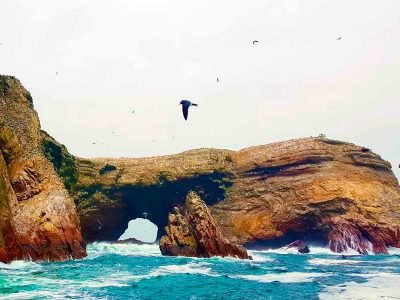 ¿Qué llevar a las Islas Ballestas?