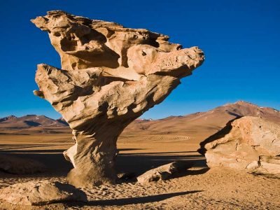 ÁRBOL DE PIEDRA BOLIVIA