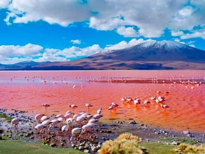 Laguna Colorada de Bolivia