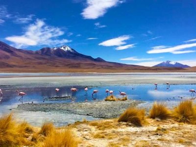 Laguna Cañapa