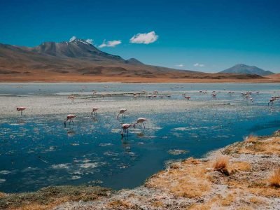 Laguna Hedionda