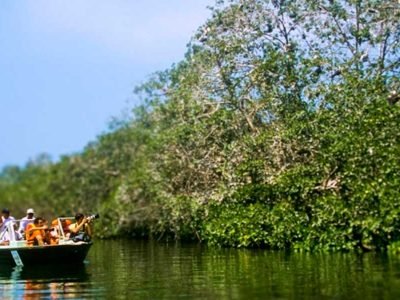 Manglares de Puerto Pizarro – Tumbes
