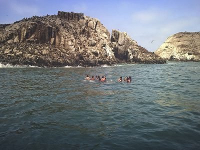Isla Palomino