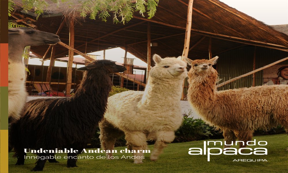 Zoo Mundo Alpaca: Vive la Magia de la Fauna en Arequipa