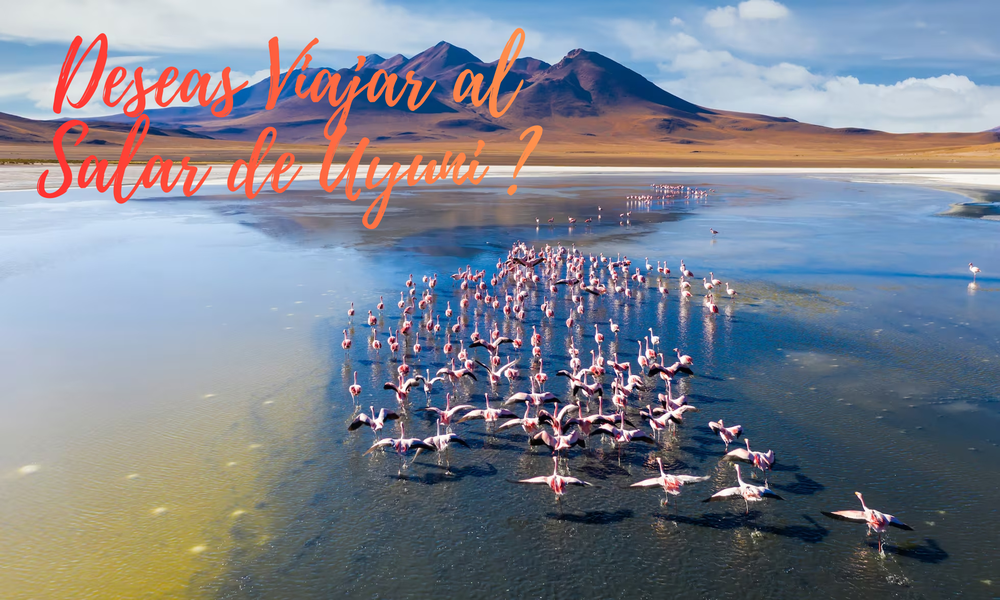 How much money do you need to travel to Uyuni?