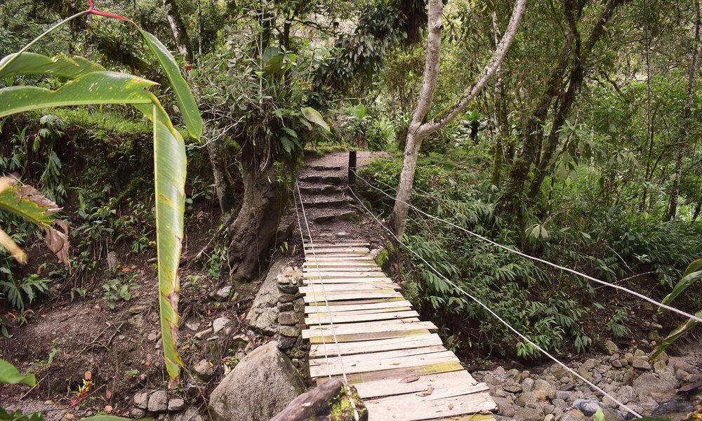 Mandor Mandor Gardens: nature and hiking near Machu Picchu Chullos Travel Peru ...