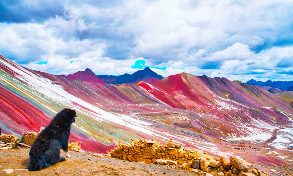 El perro guía de Montaña de colores