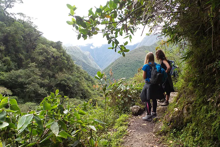 Tour Camino Inca 2 Días y 1 Noche | Trek, todo incluido