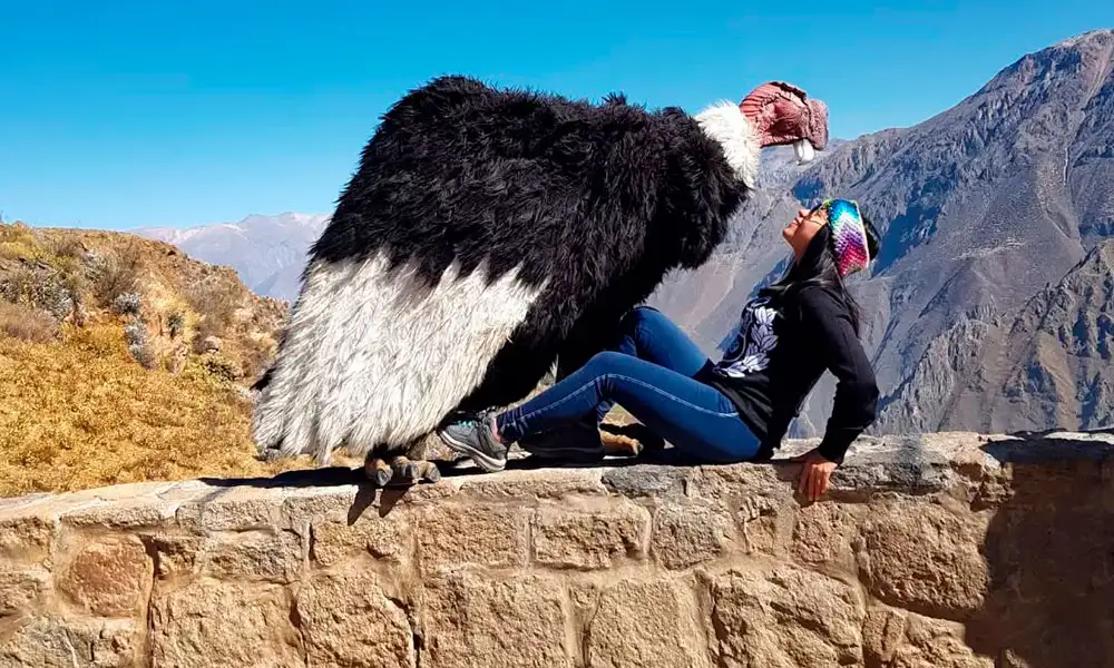 Tour Cañón del Colca 2D/1N desde Arequipa