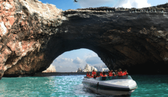Tour Islas Ballestas Paracas