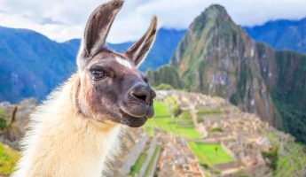 Mes ideal para visitar Machu Picchu