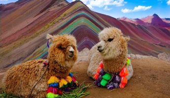 Tour Montaña de 7 Colores – Cusco | Ruta Corta Por Cusipata |