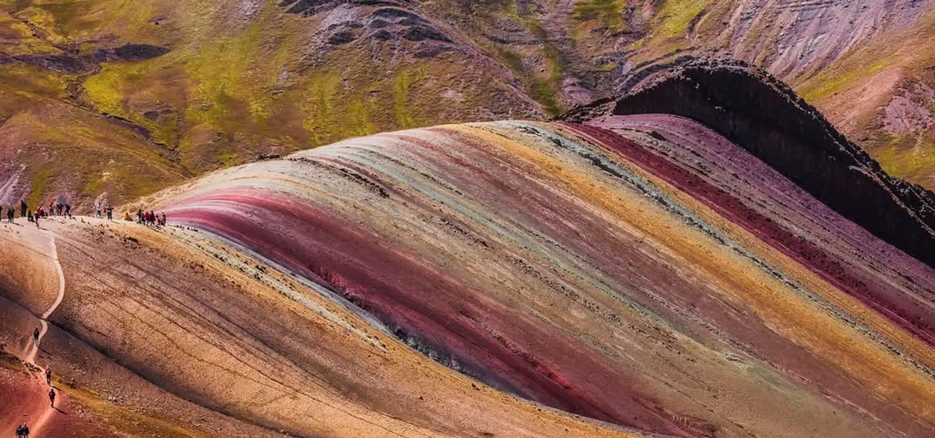 Palcoyo full day – Más Colores, Menos Esfuerzo