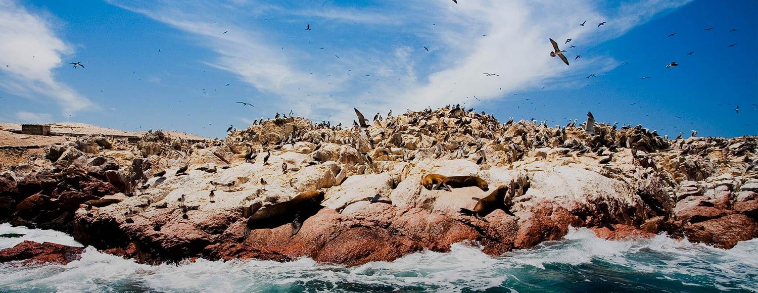 Tour Paracas Ica Nazca 2 dias 1 noche