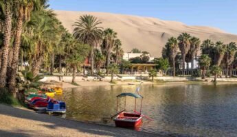 Tour Paracas y el Oasis de Huacachina