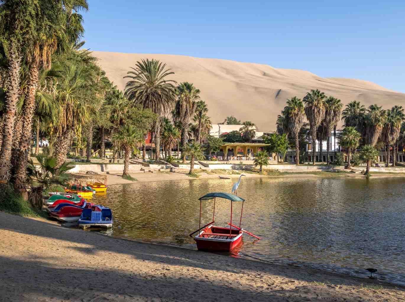 Tour Paracas y el Oasis de Huacachina