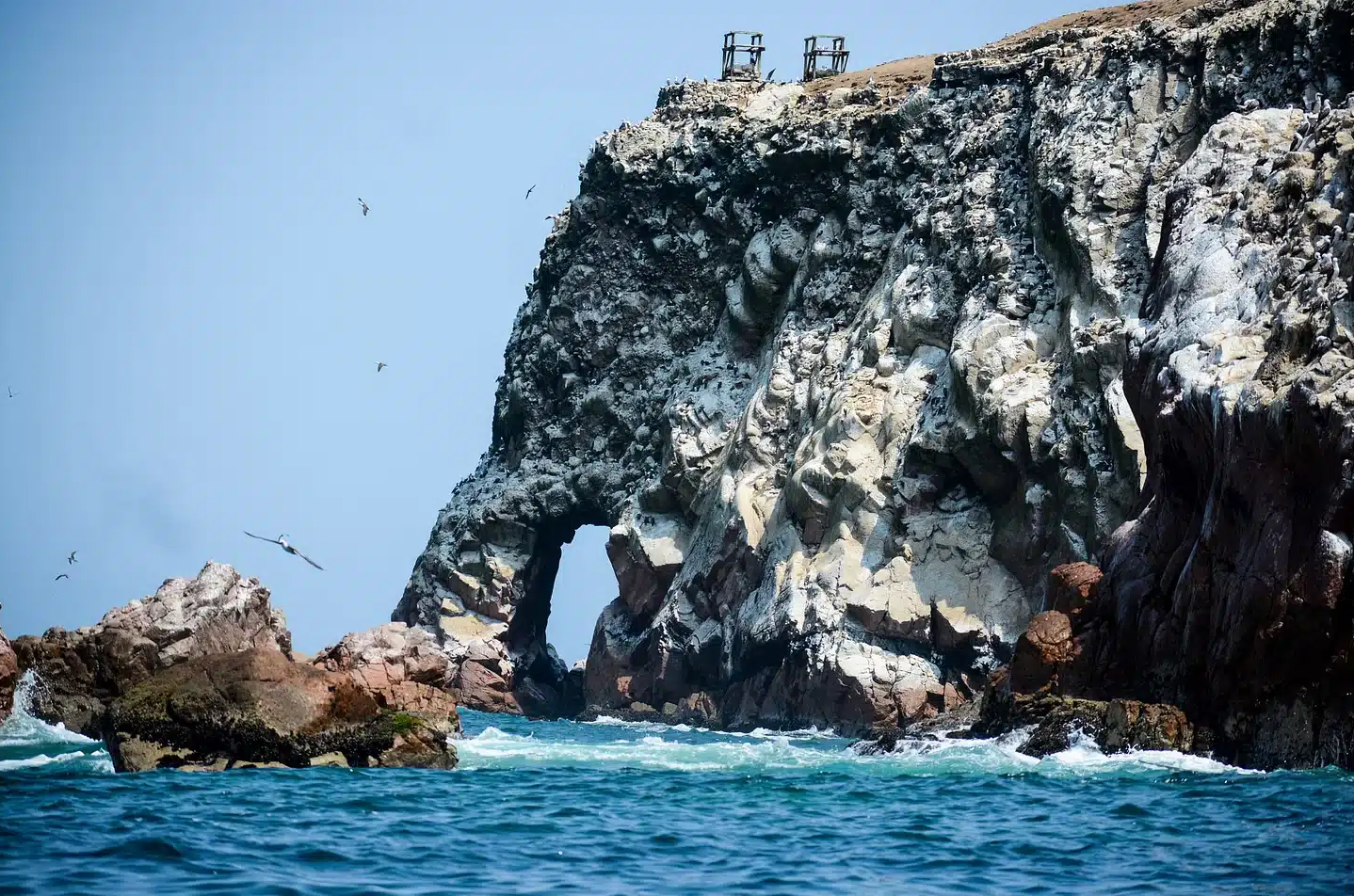 Tour Paracas y el Oasis de Huacachina