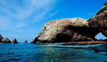 ¿Cuánto cuesta ir a las Islas Ballestas desde Lima?