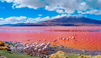 Laguna Colorada Bolivia Recomendaciones