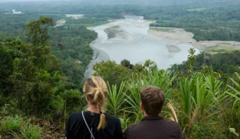 Excursión la Selva Manu 6D/5N | Explorando la Biodiversidad