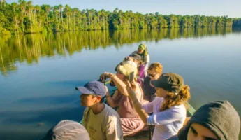 Tambopata 3Días | Isla de los monos + Sandoval Lake + Fogata