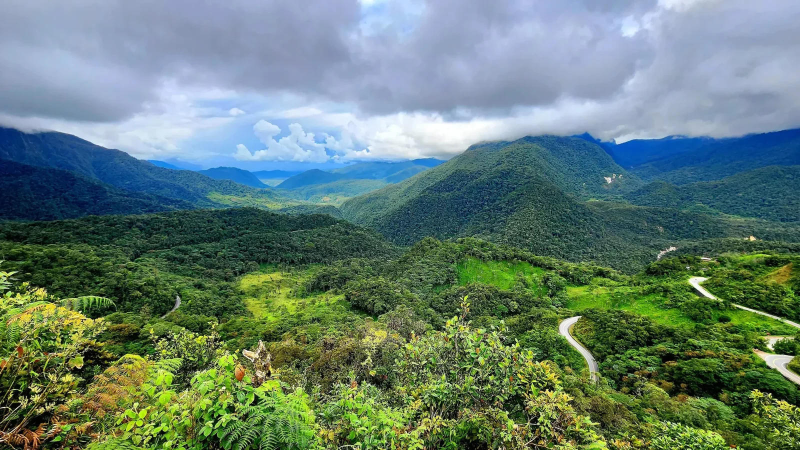 Tarapoto + Chachapoyas 9D/8N | Ciudad de las Orquideas