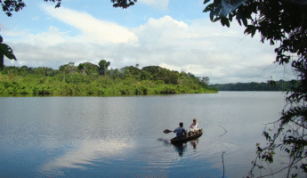 Tour Reserva Tamshiyacu Tahuayo 3 Dias