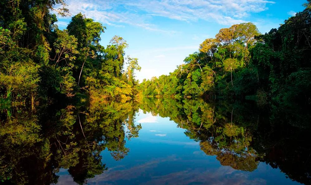 Tour Reserva Tamshiyacu Tahuayo 3 Dias