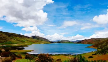 Tour a las Cuatro Lagunas Andinas | Aves Autóctonas