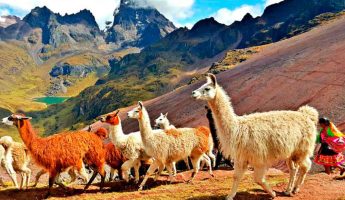 Lares Trek + Machu Picchu 4 dias | Aguas Termomedicinales