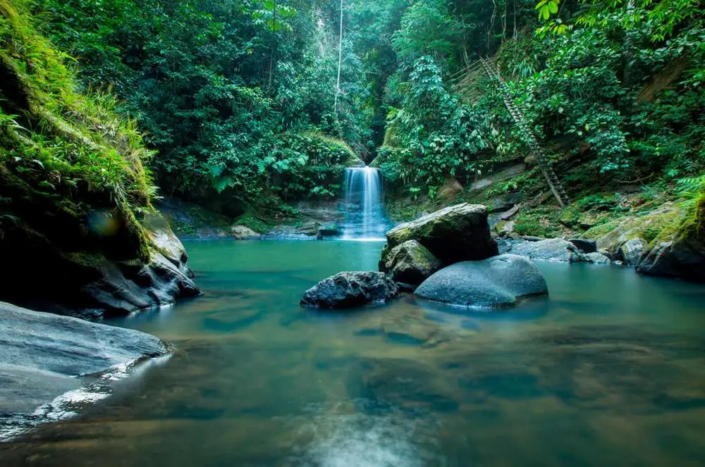 Excursión a la Catarata de Carpishuyacu | Baños Termales