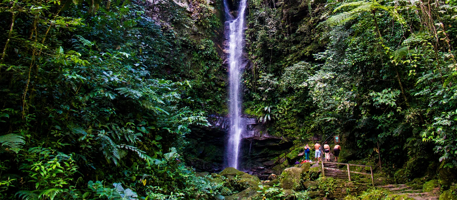 Excursion a la catarata Ahuashiyacu Área de Conservación