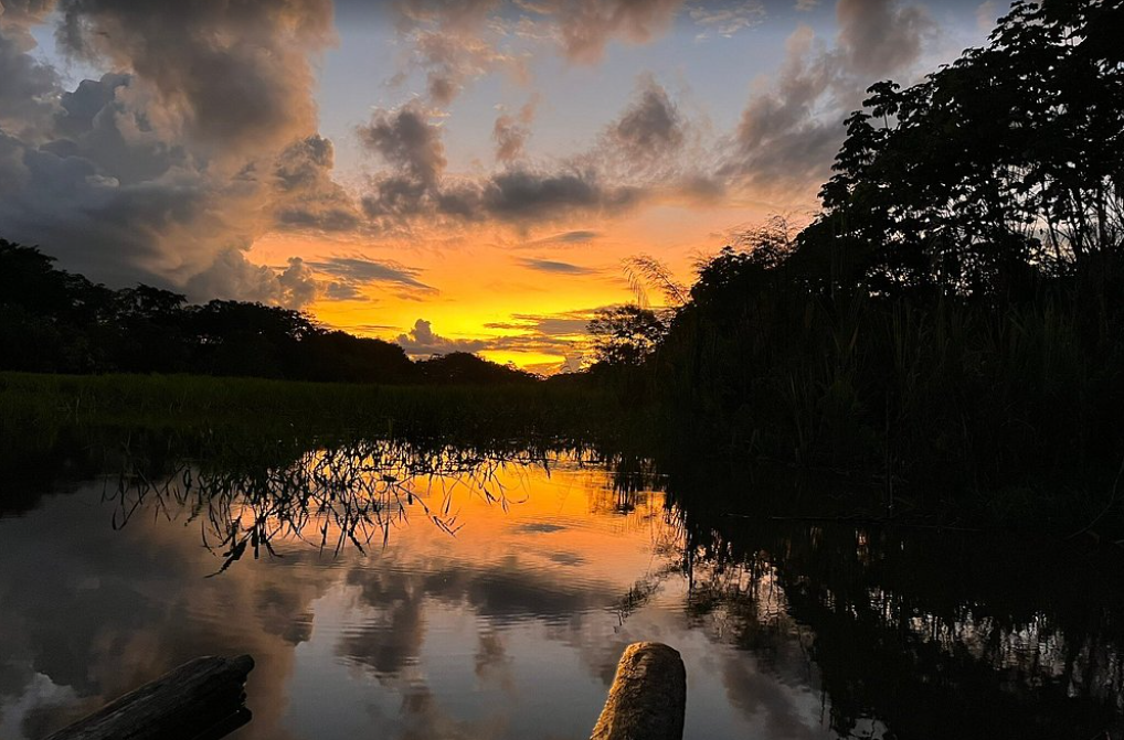 Tour Isla de los Monos Iquitos | Delfines, Rosado y Gris