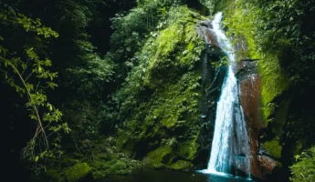 Trekking por el Alto Shilcayo | Catarata del Vestido de Novia