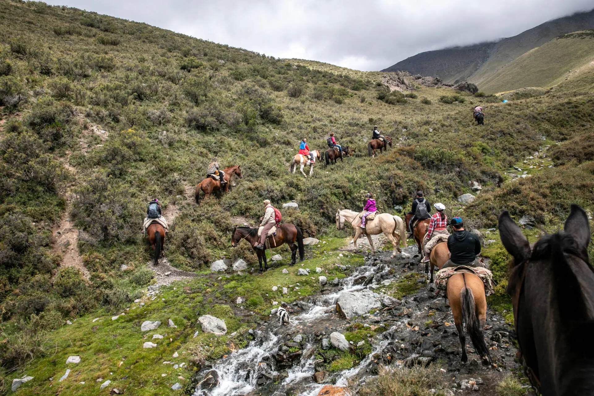 Cabalgata en Yungar | Cordillera Negra & Blanca