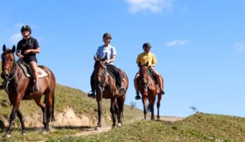 Cabalgata en Yungar | Cordillera Negra & Blanca