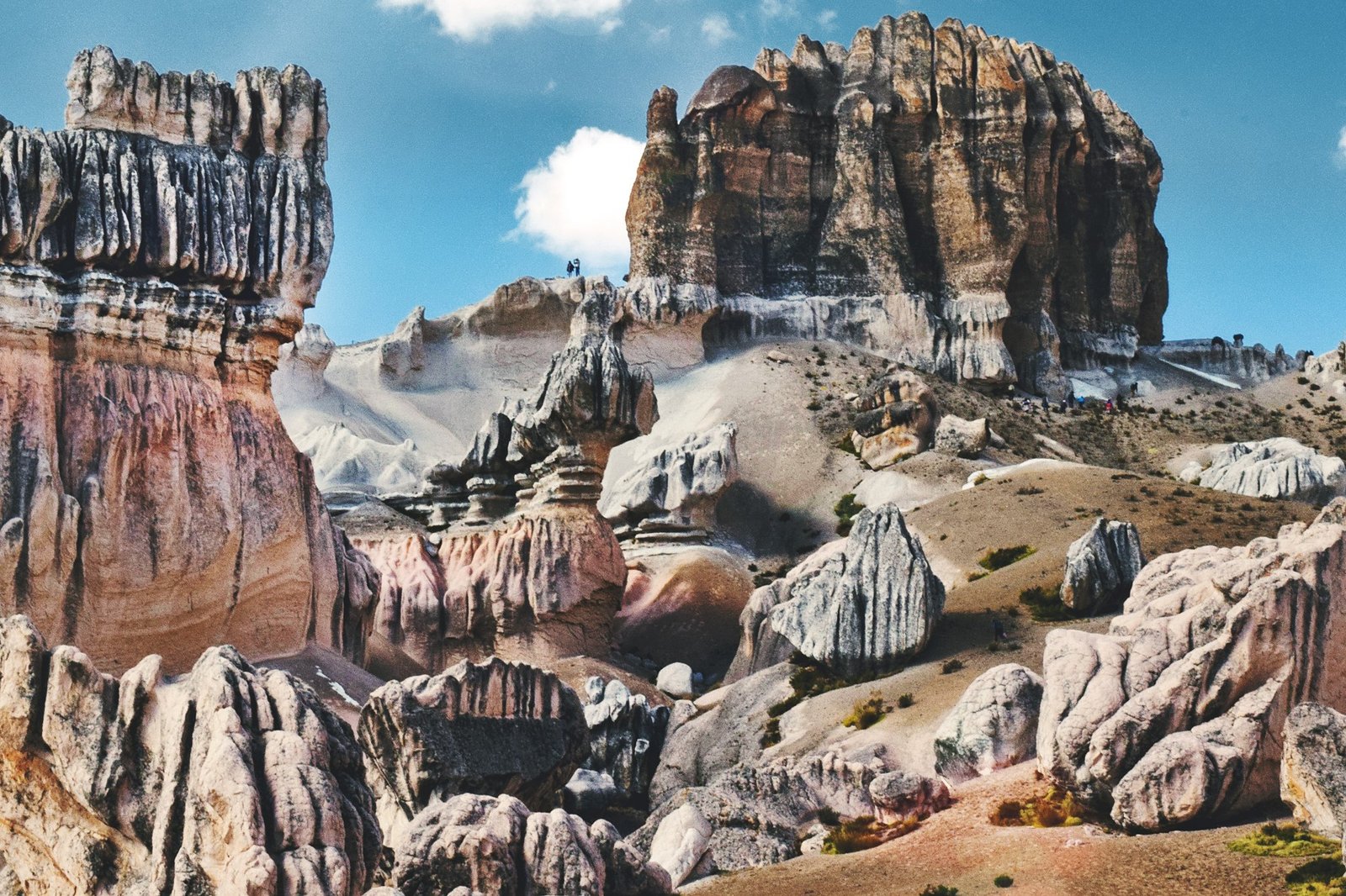 Choqolaqa | Bosque de Piedras | Full Day