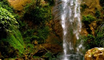 Hacienda Colpa y  Cascadas de Llanacora | Tour de medio día
