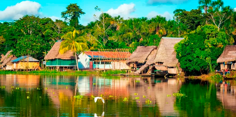 Reserva Tamshiyacu 6 dias/5 noites | Iquitos Reserva Tamshiyacu 6 dias/5 noites | Iquitos