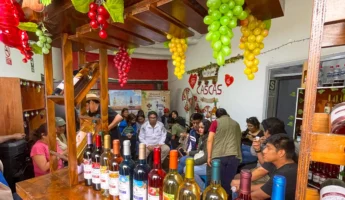 Ruta del Vino – Cascas Full Day | Degustación – Viñedos