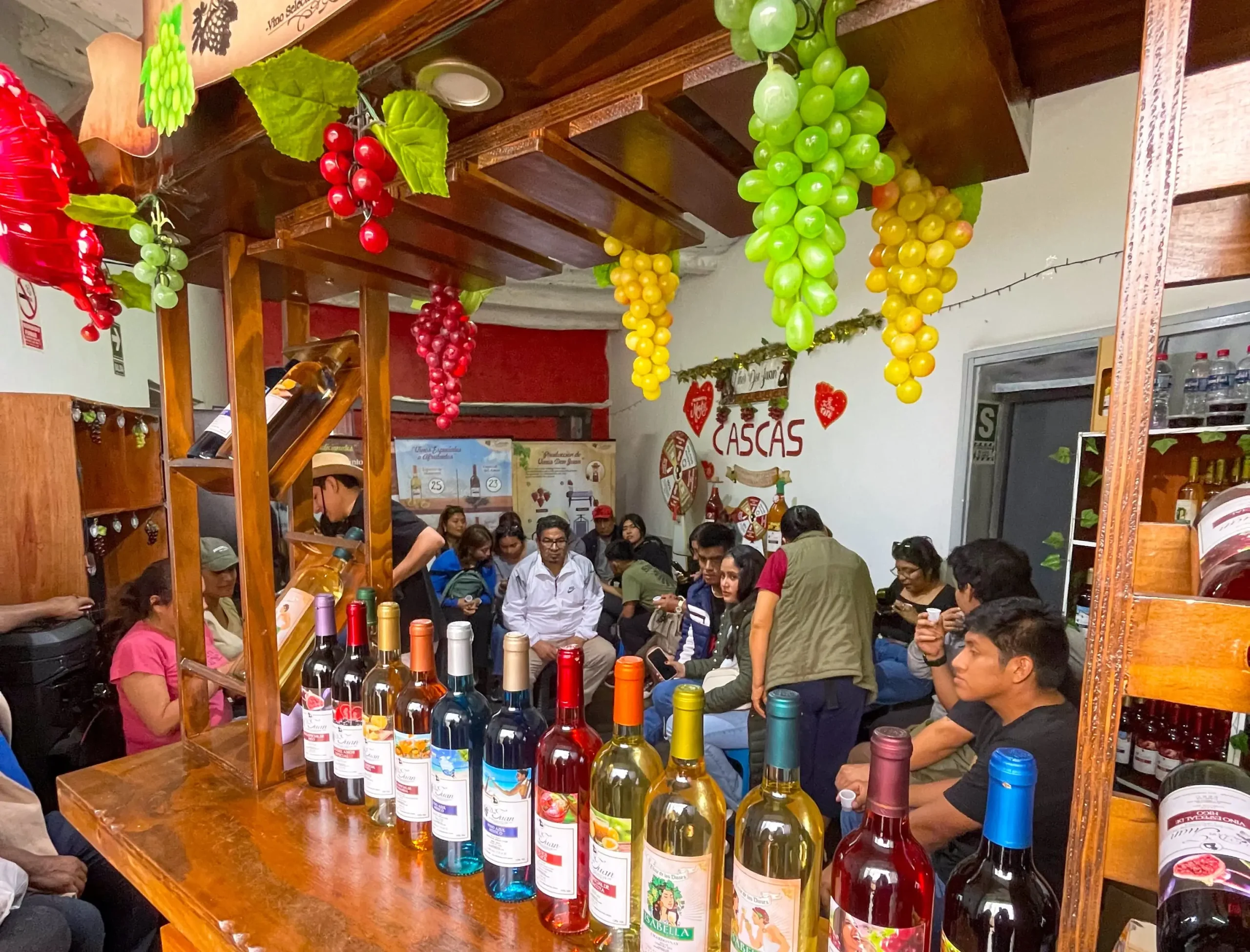 Ruta del Vino – Cascas Full Day | Degustación – Viñedos