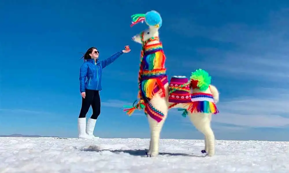 Tour Salar de Uyuni 3D+Traslado a San Pedro de Atacama