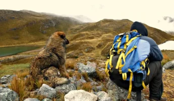 Trek Quillcayhuanca 3 Días/2 Noches