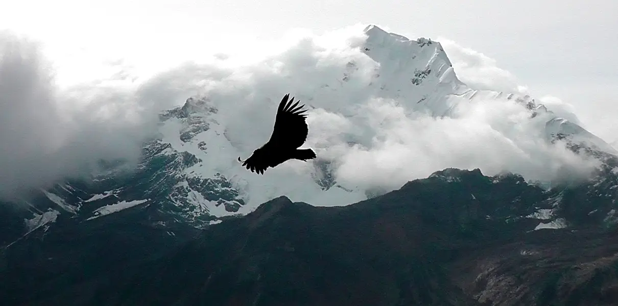 Trek Quillcayhuanca 3 Días/2 Noches