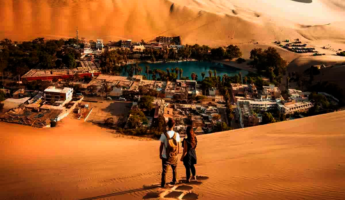 City Tour Ica | Piscos – Vinos & Aventuras en el Oasis | Full Day