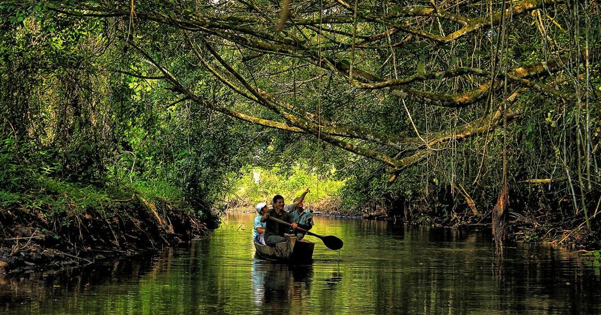 Expedición Manu 5Días y 4Noches