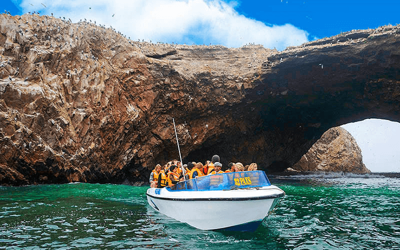 Full Day Paracas – Ica & Huacachina, Almuerzo en Viñedo | Desde Lima