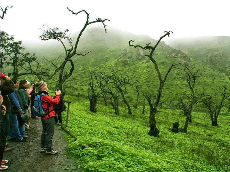Full Day – Lomas de Lachay + Castillo de Chancay + Eco Park